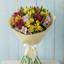 Букет цветов из:  Альстромерии в Троицкой Краснодарского края