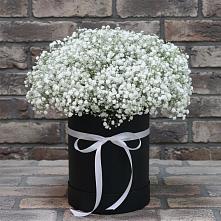 Цветочная композиция из Гипсофила в шляпной коробке в Троицкой Краснодарского края