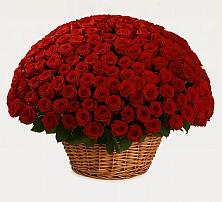 Премиум букет из: Розы в Троицкой Краснодарского края