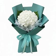 Букет цветов из:  Гортензия в Троицкой Краснодарского края